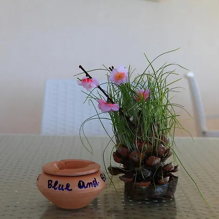 Couette-café Blue And Blue